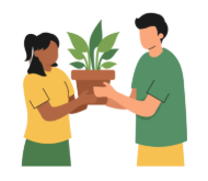 INN - Plant and Seed INN - Plant and Seed